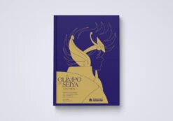 EL OLIMPO DE SEIYA (VOL. I)