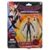 Hasbro MILES MORALES SPIDER-MAN ACROSS THE SPIDER-VERSE MARVEL LEGENDS SERIES